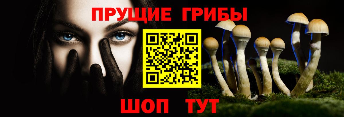 купить наркоту  Псилоцибиновые грибы мухоморы  Вход с VPN  Вичуга 